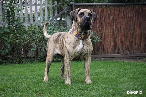 Serio Ciotki i Wujkowie ? Nikt mnie nie chce ??